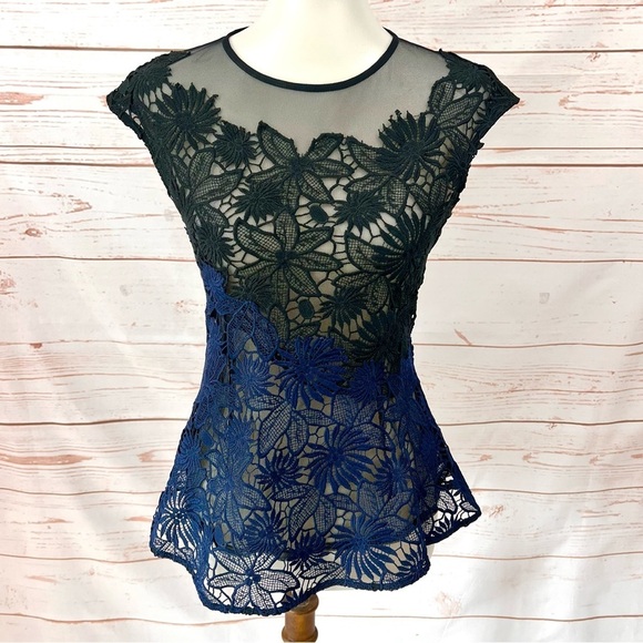 Anthropologie Tops - Anthropologie Deletta Guipure Lace Asymmetrical Ombre Sheer Peplum Blouse